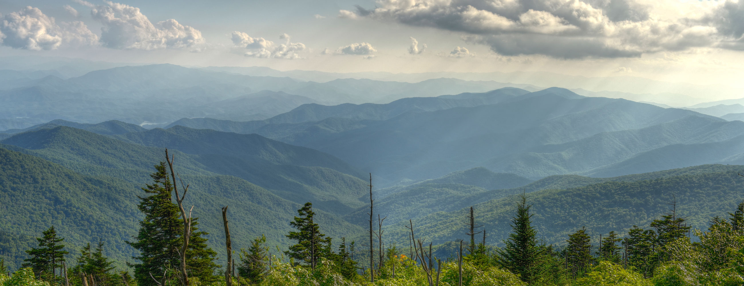 LE QUAN NHUT HUYNH LE QUAN NHUT HUYNH